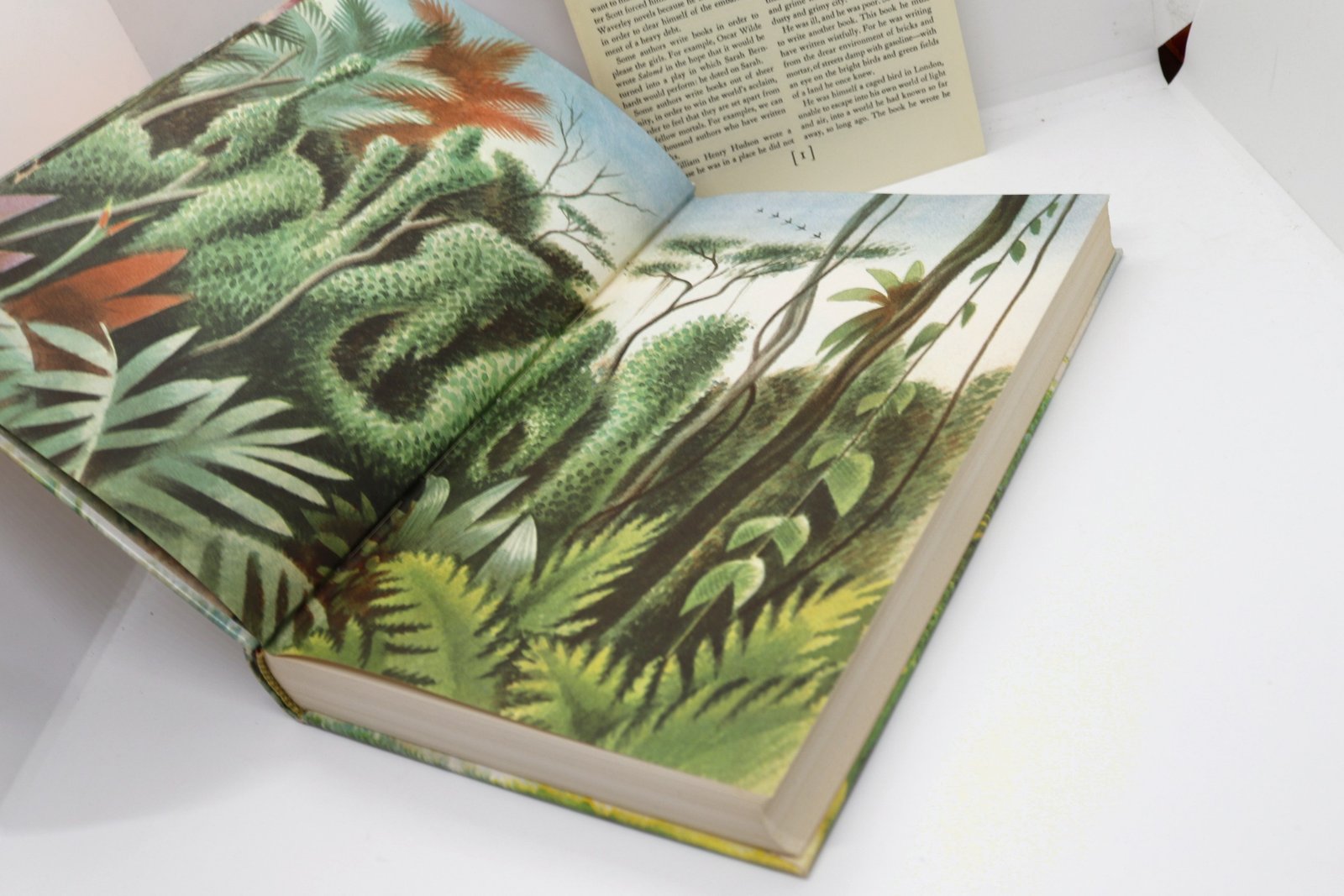 Green Mansions: A Romance of The Tropical Forest - Hudson Fine Books