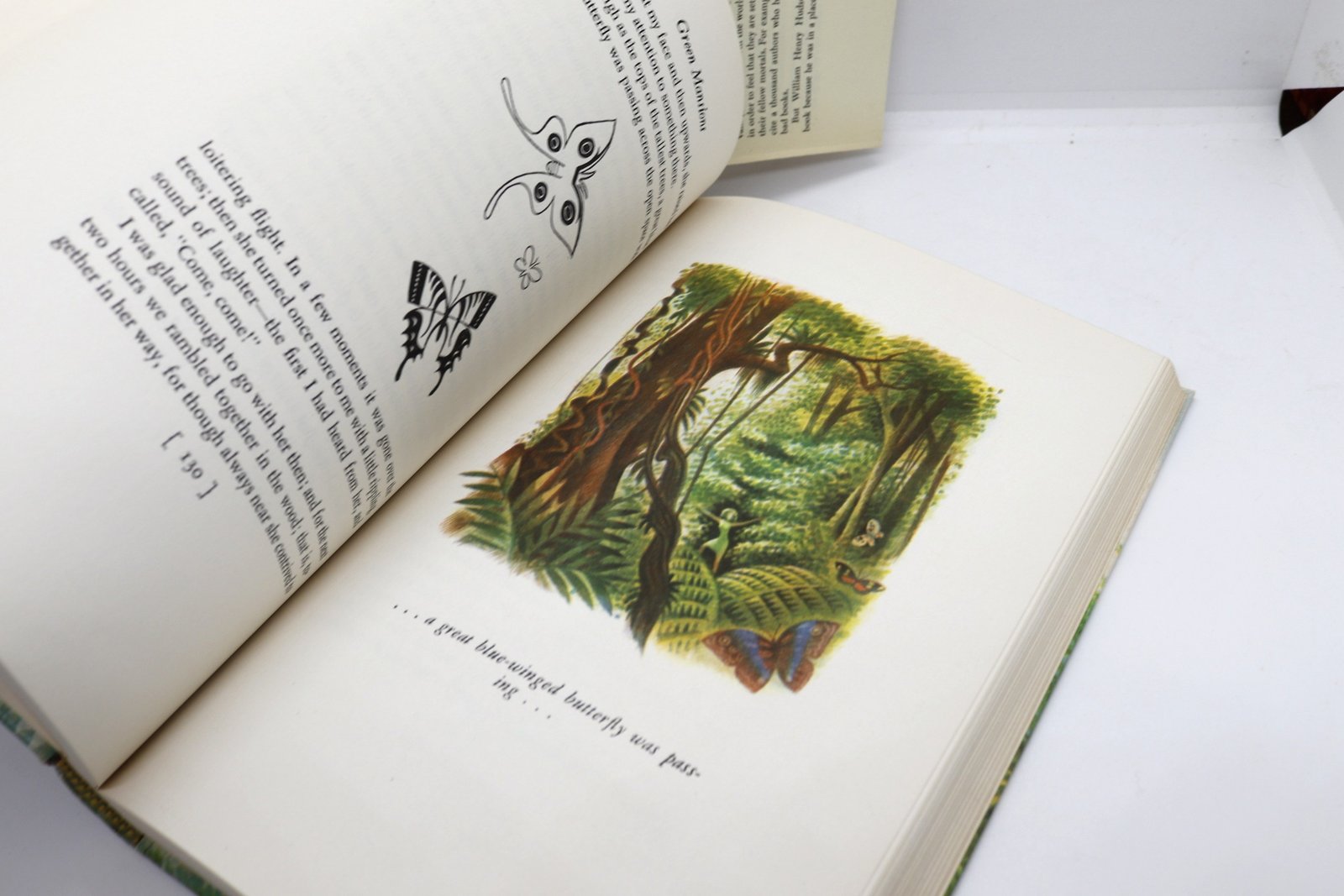 Green Mansions: A Romance of The Tropical Forest - Hudson Fine Books