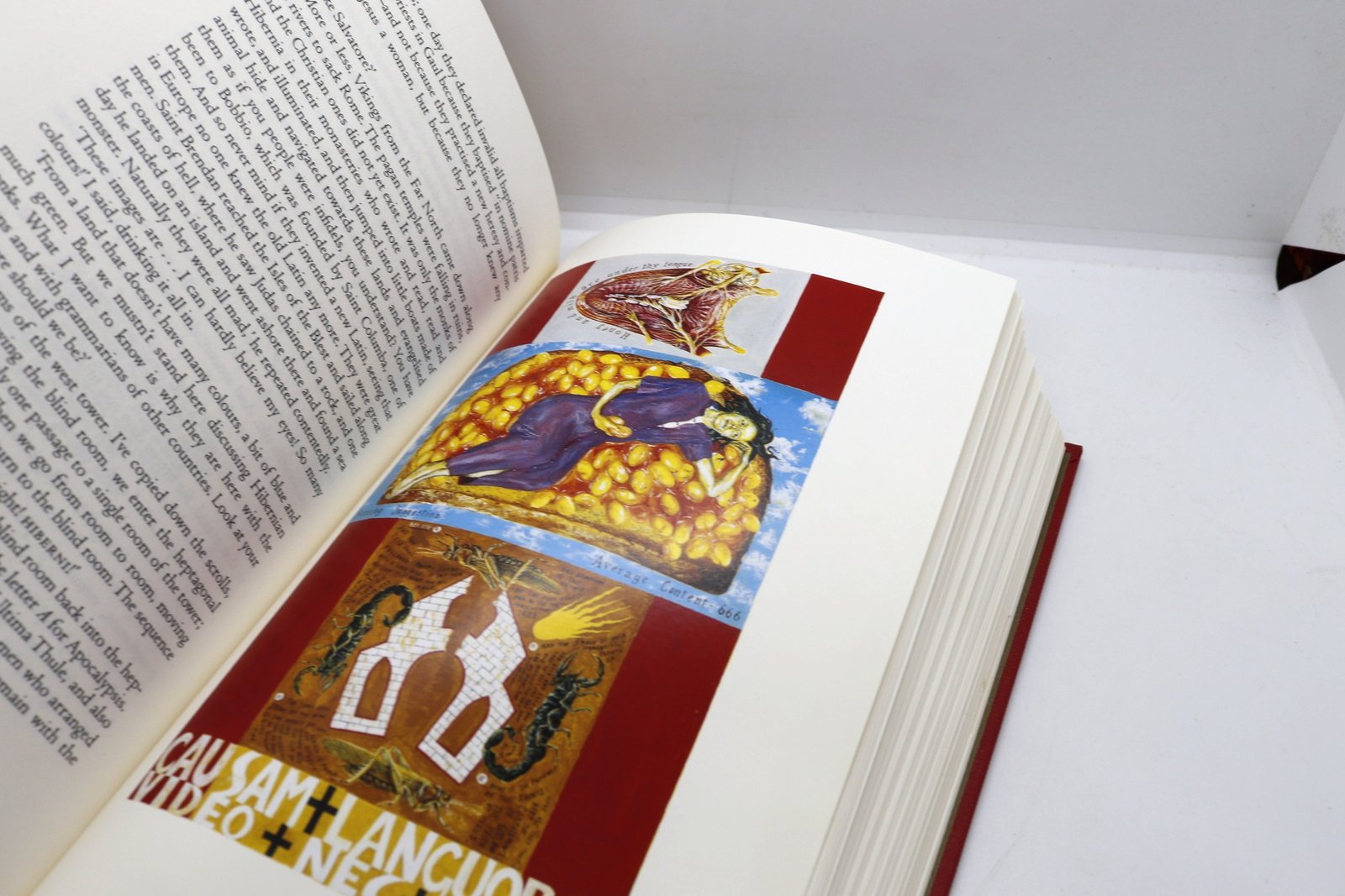 The Name of the Rose - Hudson Fine Books