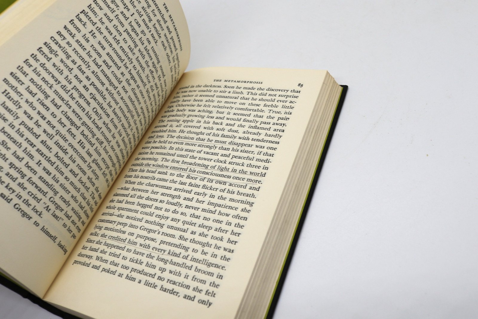 Selected Stories of Franz Kafka - Hudson Fine Books
