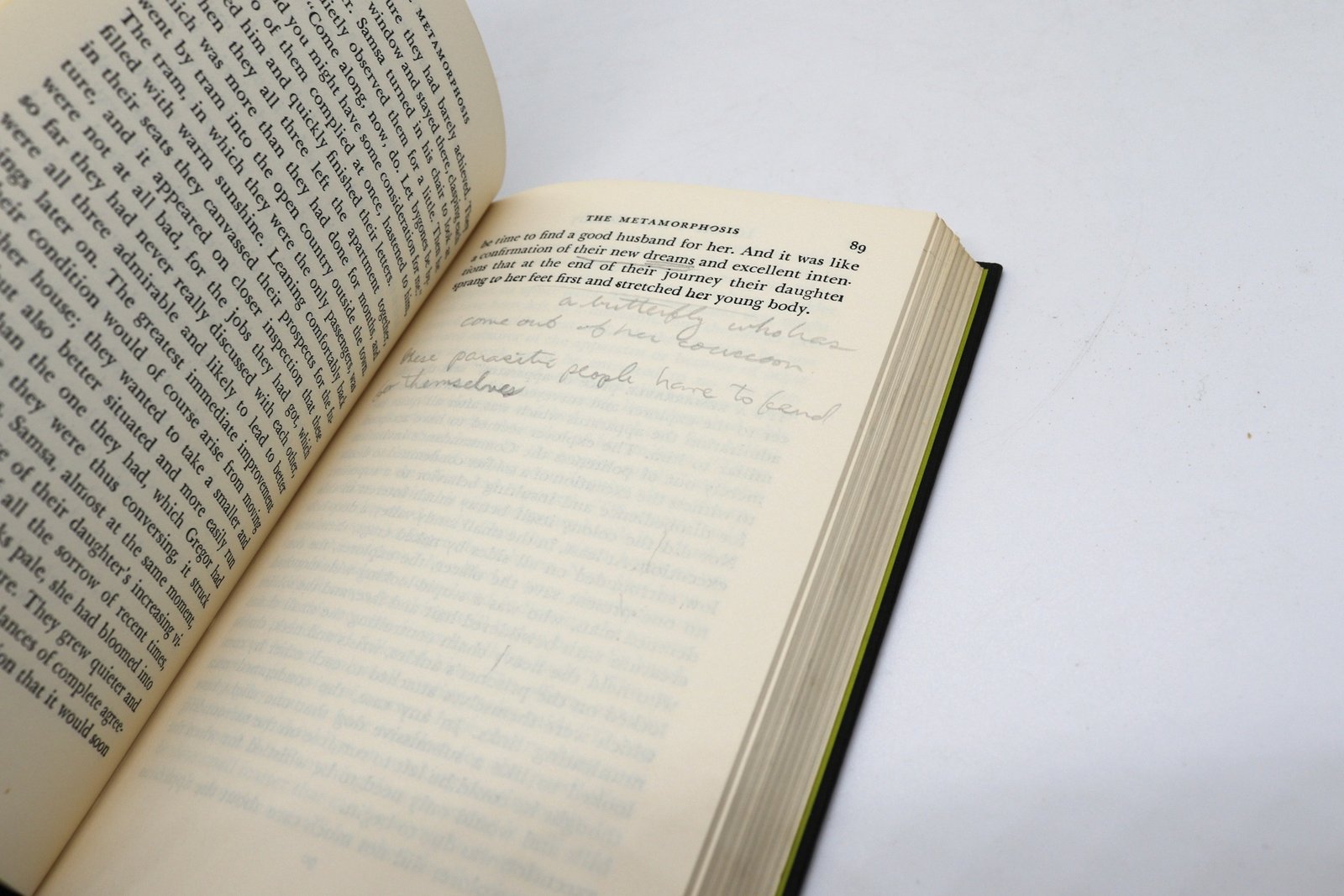 Selected Stories of Franz Kafka - Hudson Fine Books