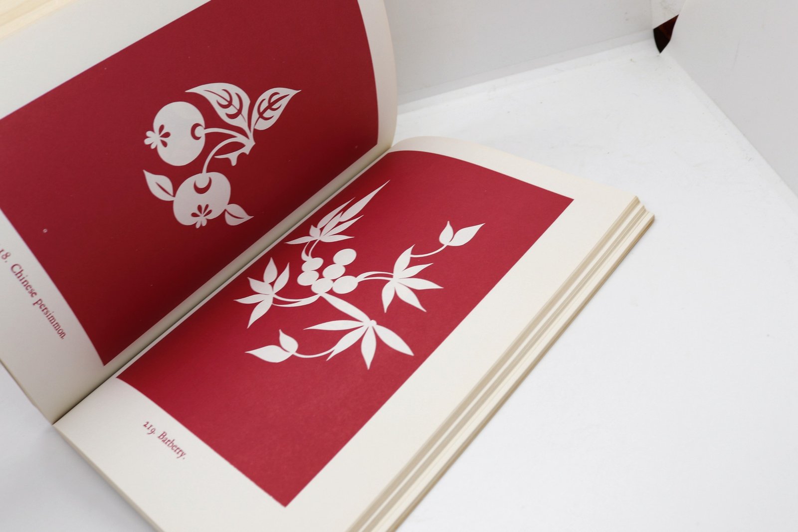 Chinese Folk Designs - Hudson Fine Books