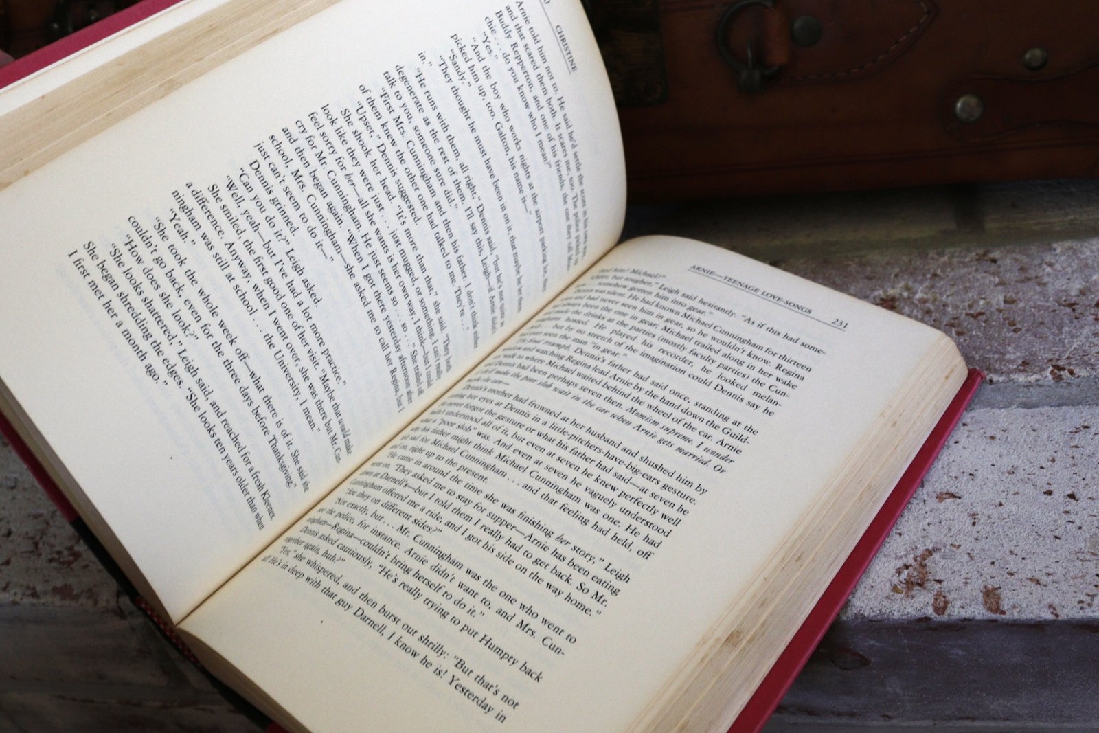 Christine - Hudson Fine Books