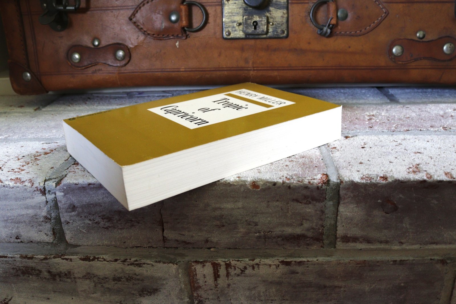 Tropic of Capricorn - Hudson Fine Books