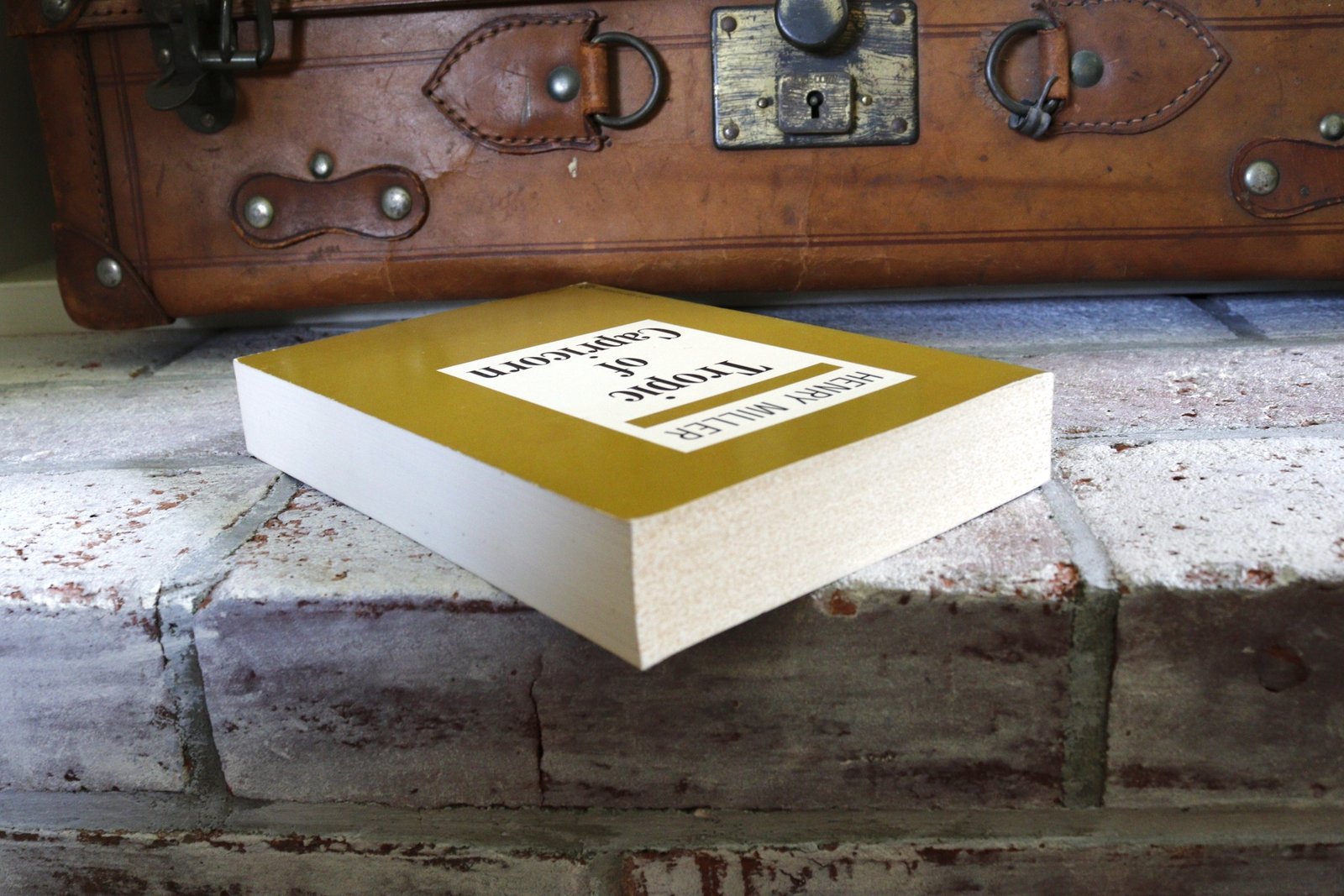 Tropic of Capricorn - Hudson Fine Books