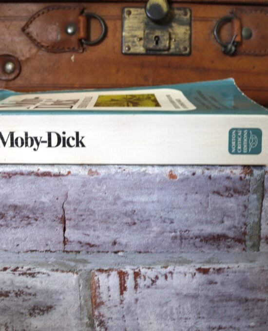 Moby-Dick Melville Norton Critical Edition 1967 Paperback