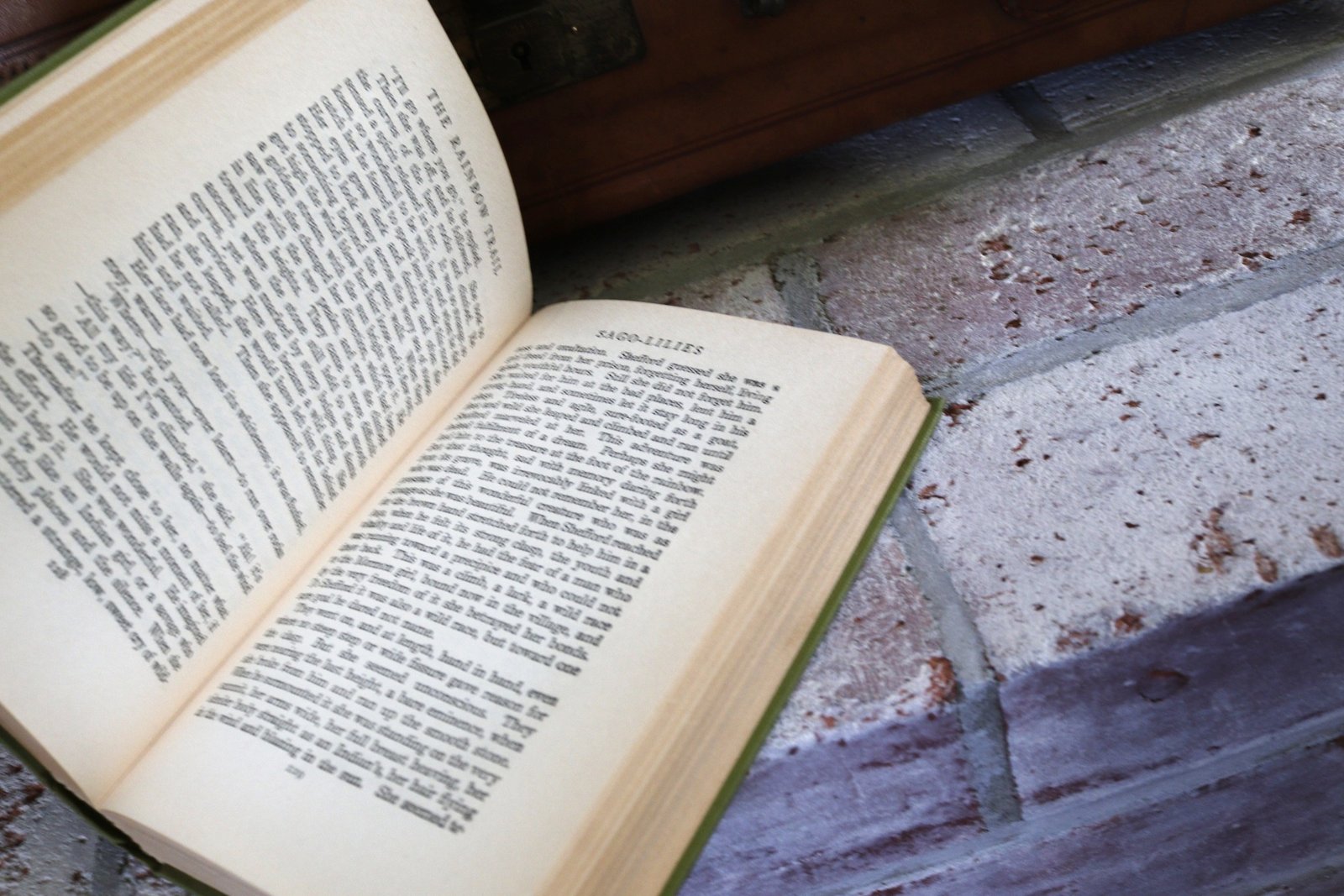 The Rainbow Trail - Hudson Fine Books