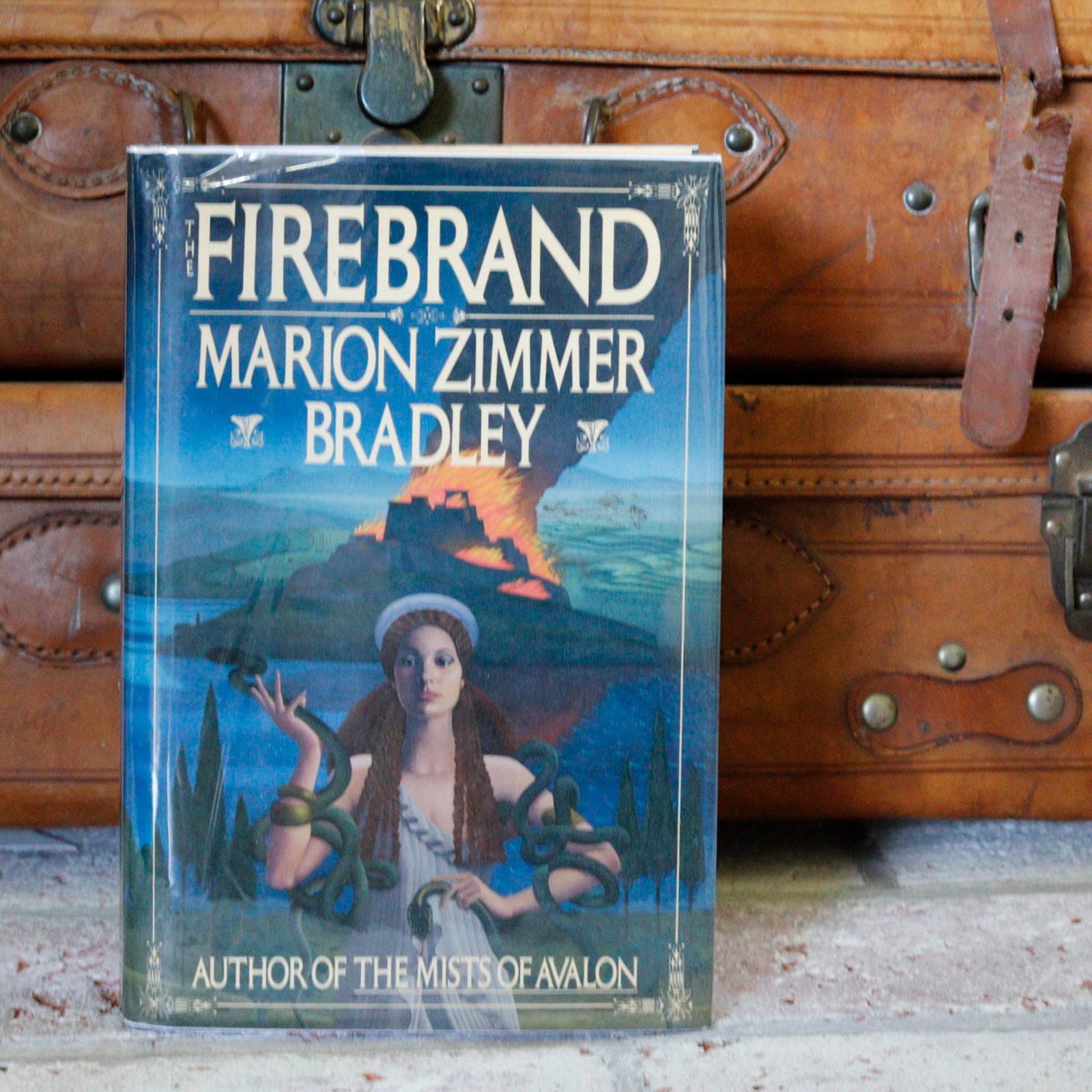 Image of a first edition copy of firebrand