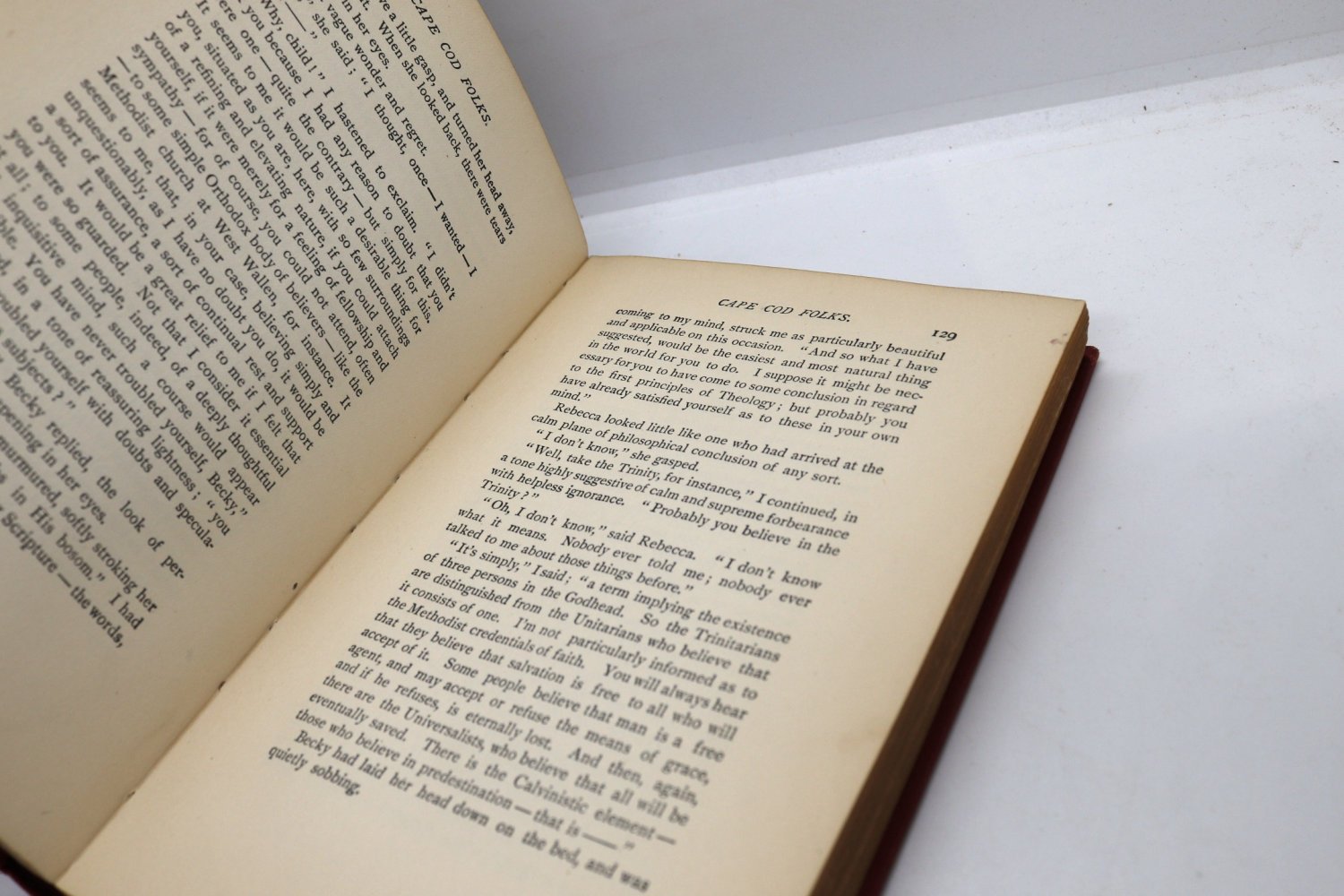 Sally Pratt McLean (Sarah Pratt McLean Greene) "Cape Cod Folks" Vintage Hardcover 1904 - Image 9