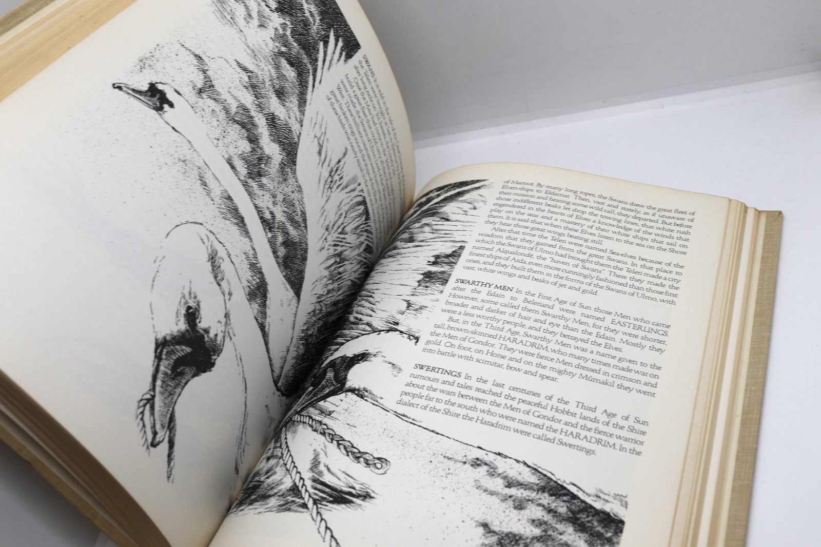 David Day "A Tolkien Bestiary" Vintage Hardcover 1979 - Image 11