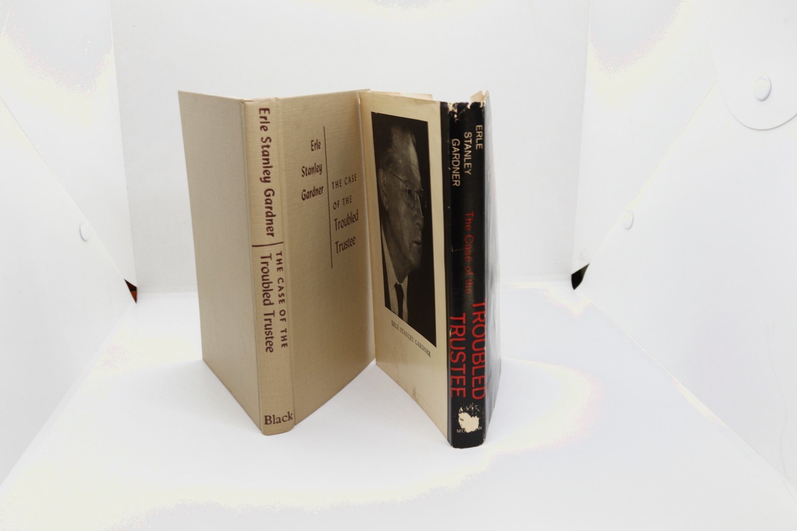 The Case of the Troubled Trustee - Hudson Fine Books
