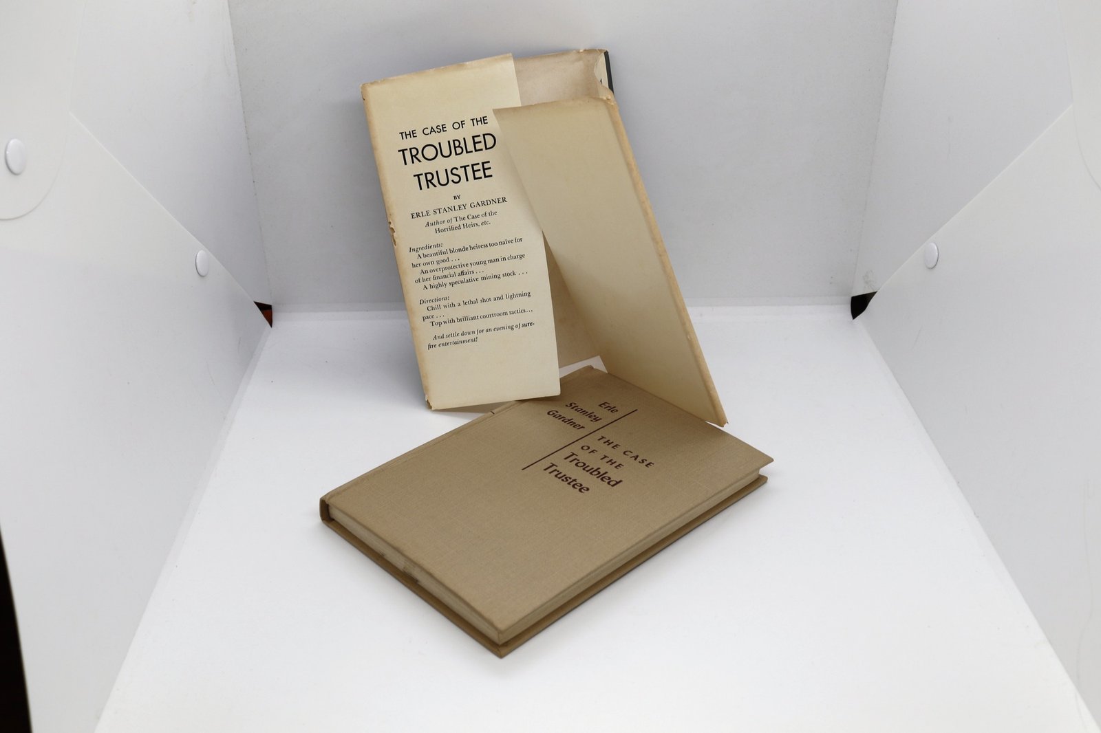 The Case of the Troubled Trustee - Hudson Fine Books