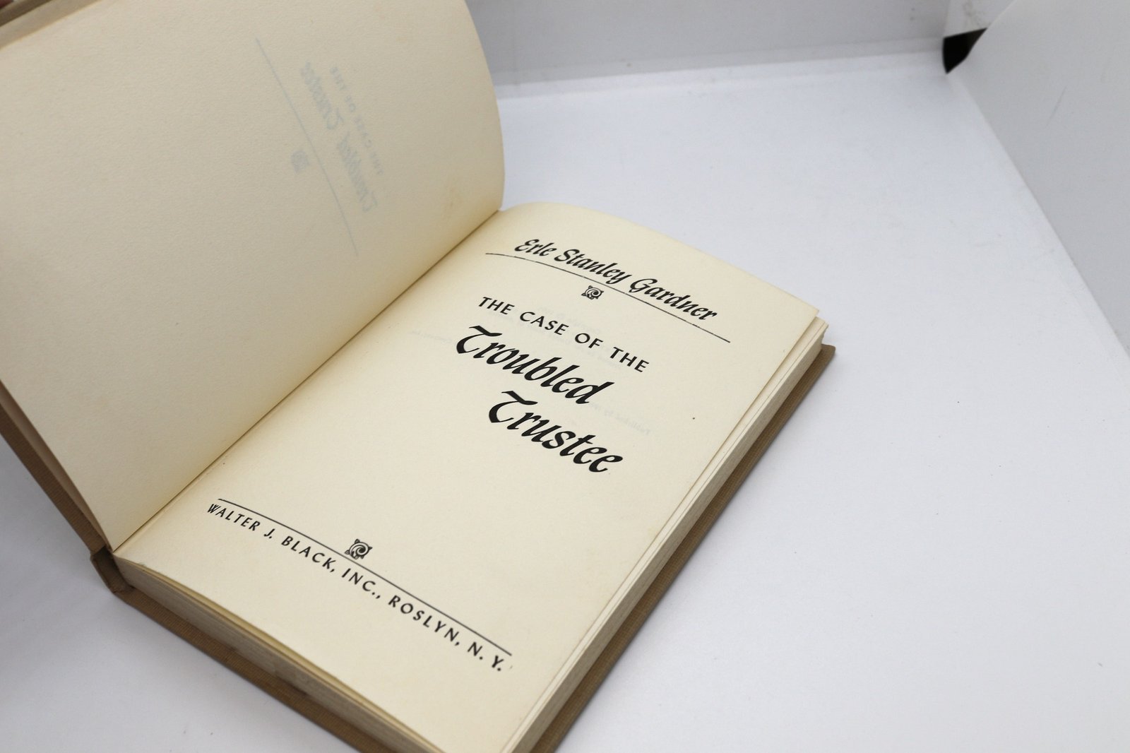 The Case of the Troubled Trustee - Hudson Fine Books