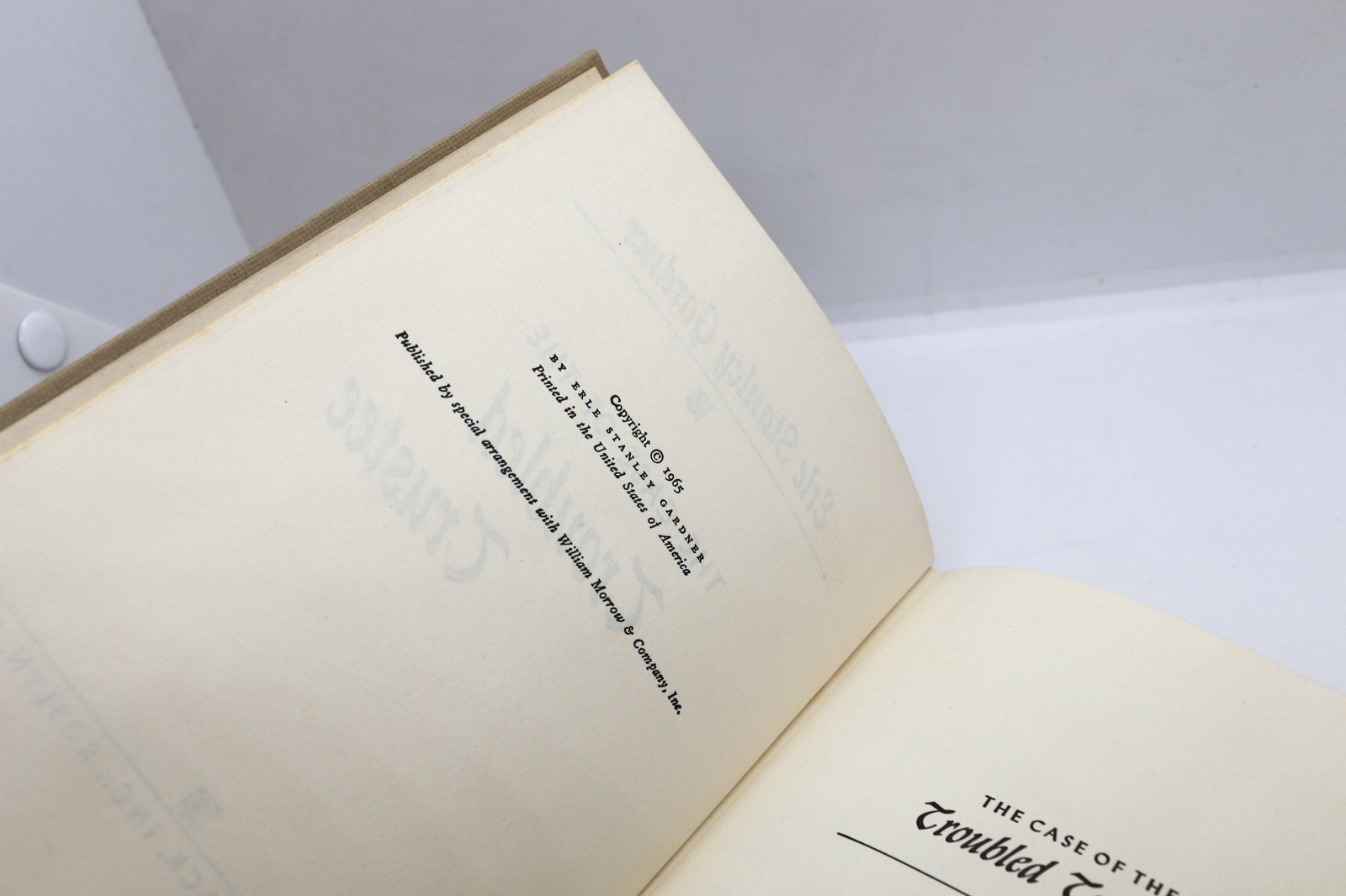 The Case of the Troubled Trustee - Hudson Fine Books