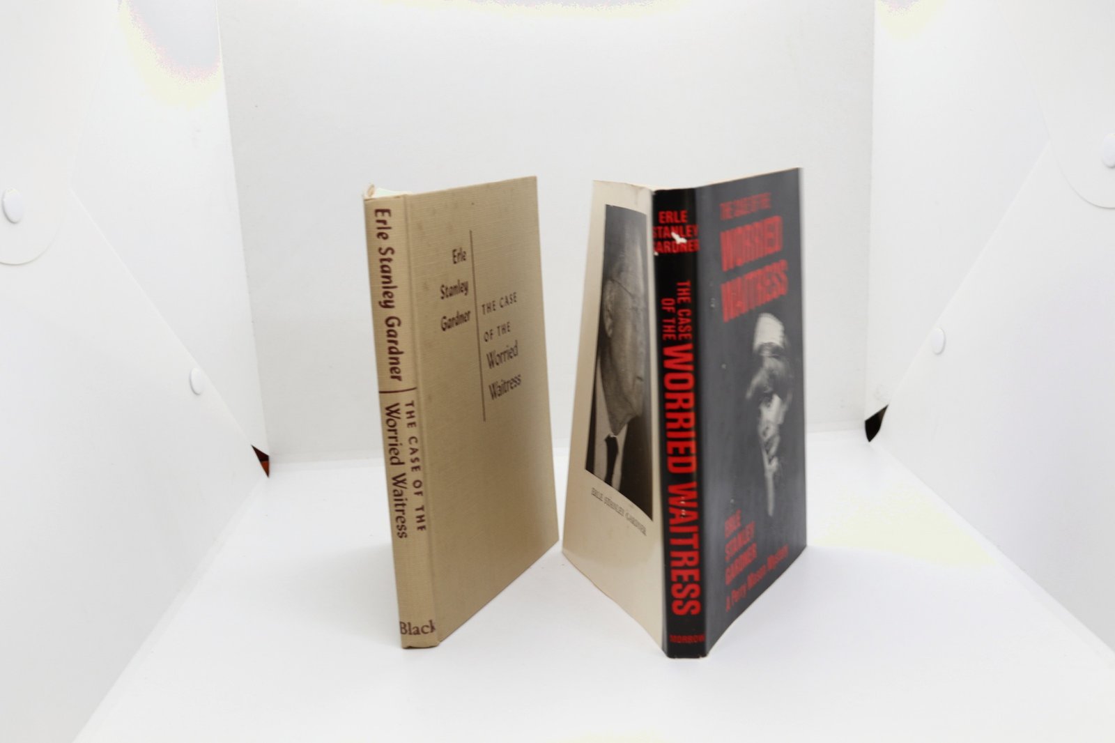 The Case of the Worried Waitress - Hudson Fine Books