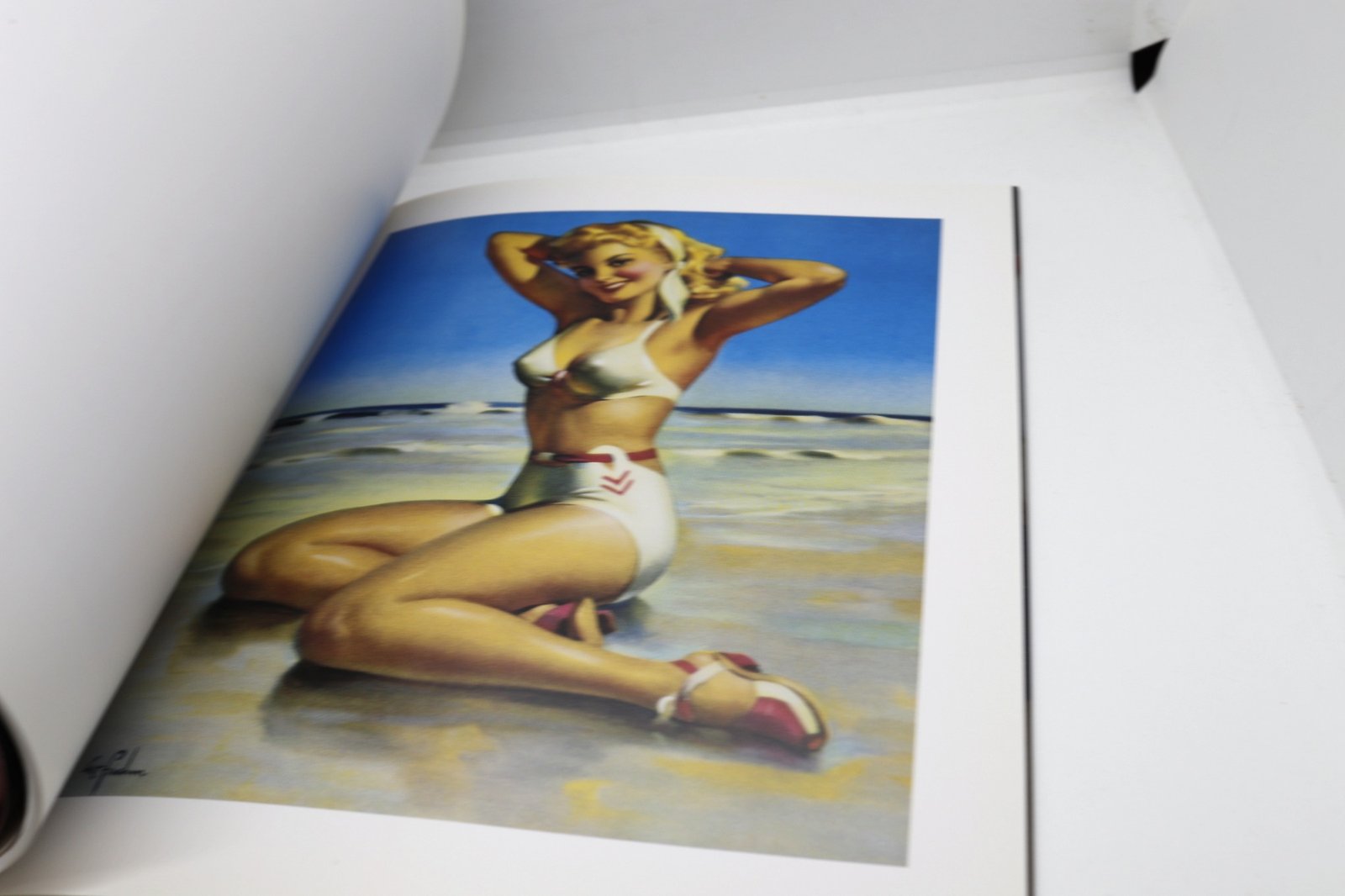 Swimsuit Sweeties - Hudson Fine Books