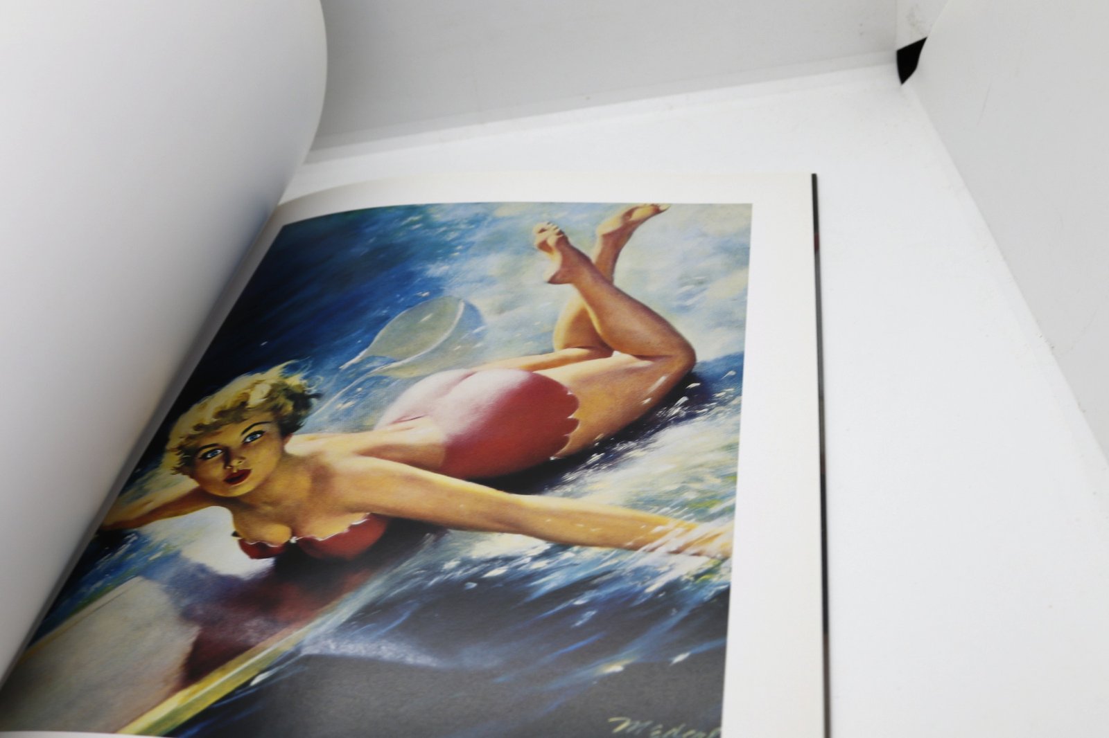 Swim Suit Sweeties - Hudson Fine Books