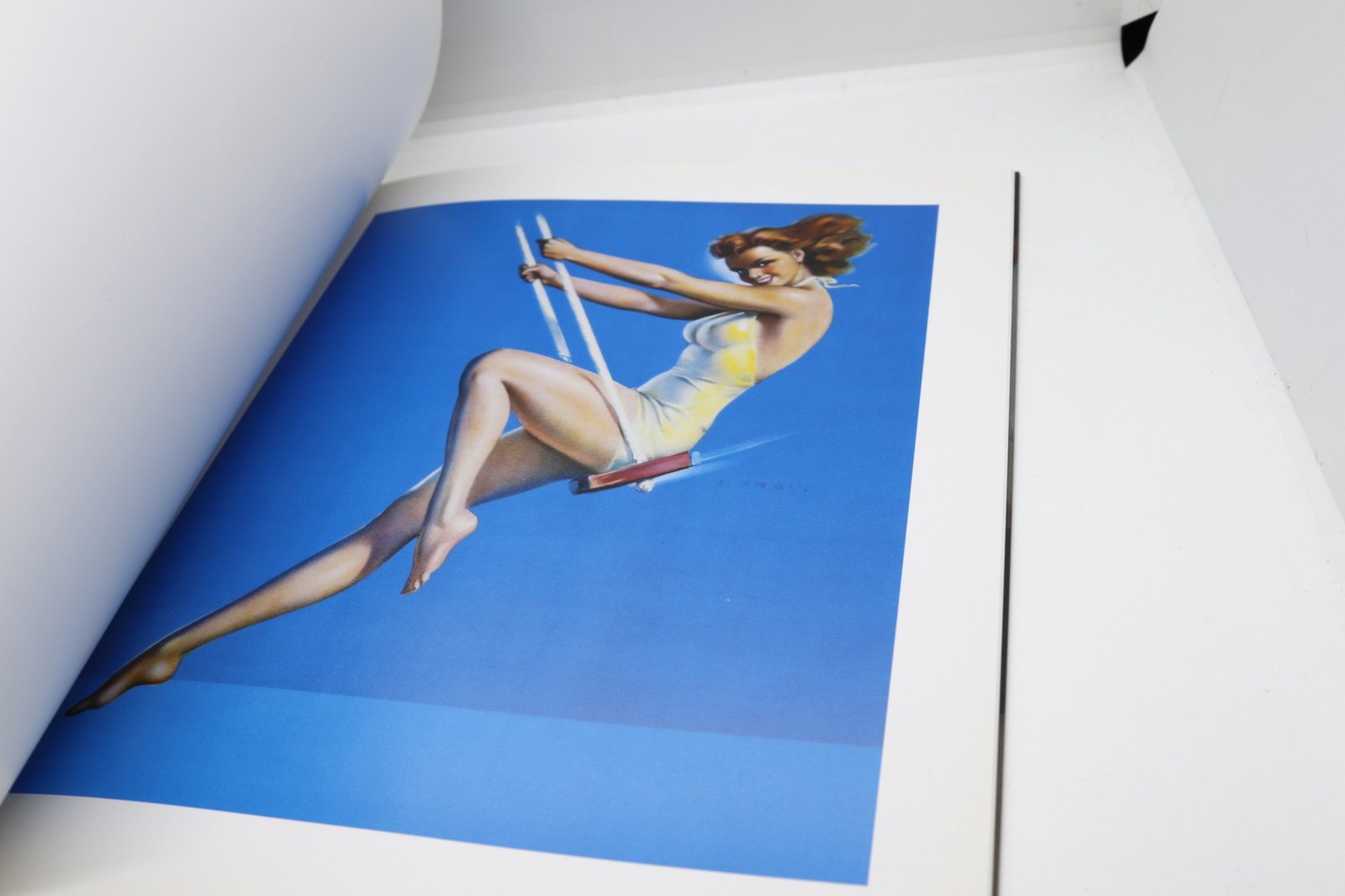 Swim Suit Sweeties - Hudson Fine Books