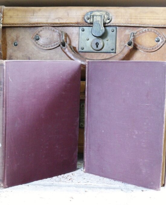 William Shakespeare “Shakespeare’s Complete Works (2-Volume Set)” Vintage hardcover set 1897