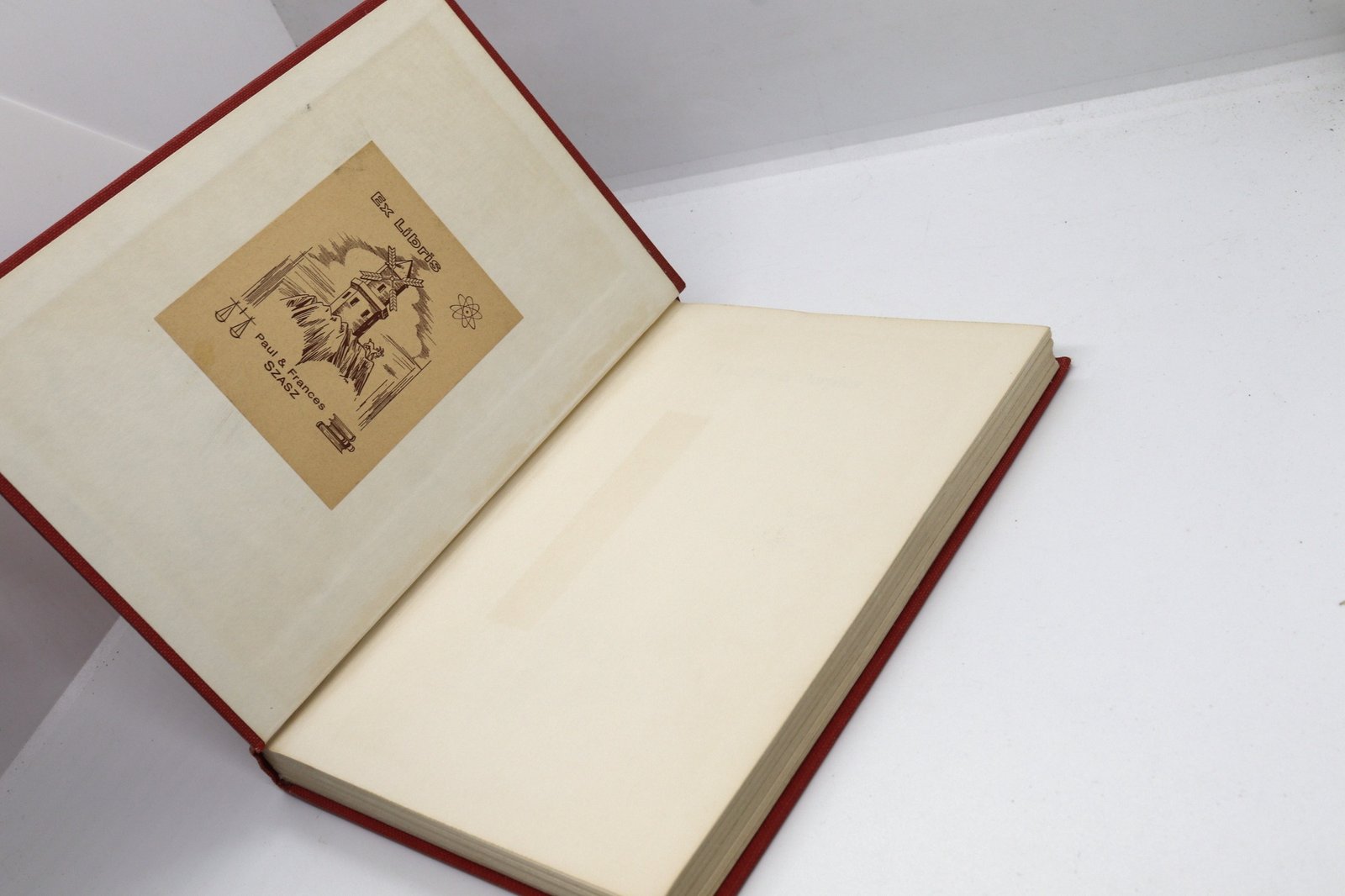 The Pooh Perplex: A Freshman Casebook - Hudson Fine Books