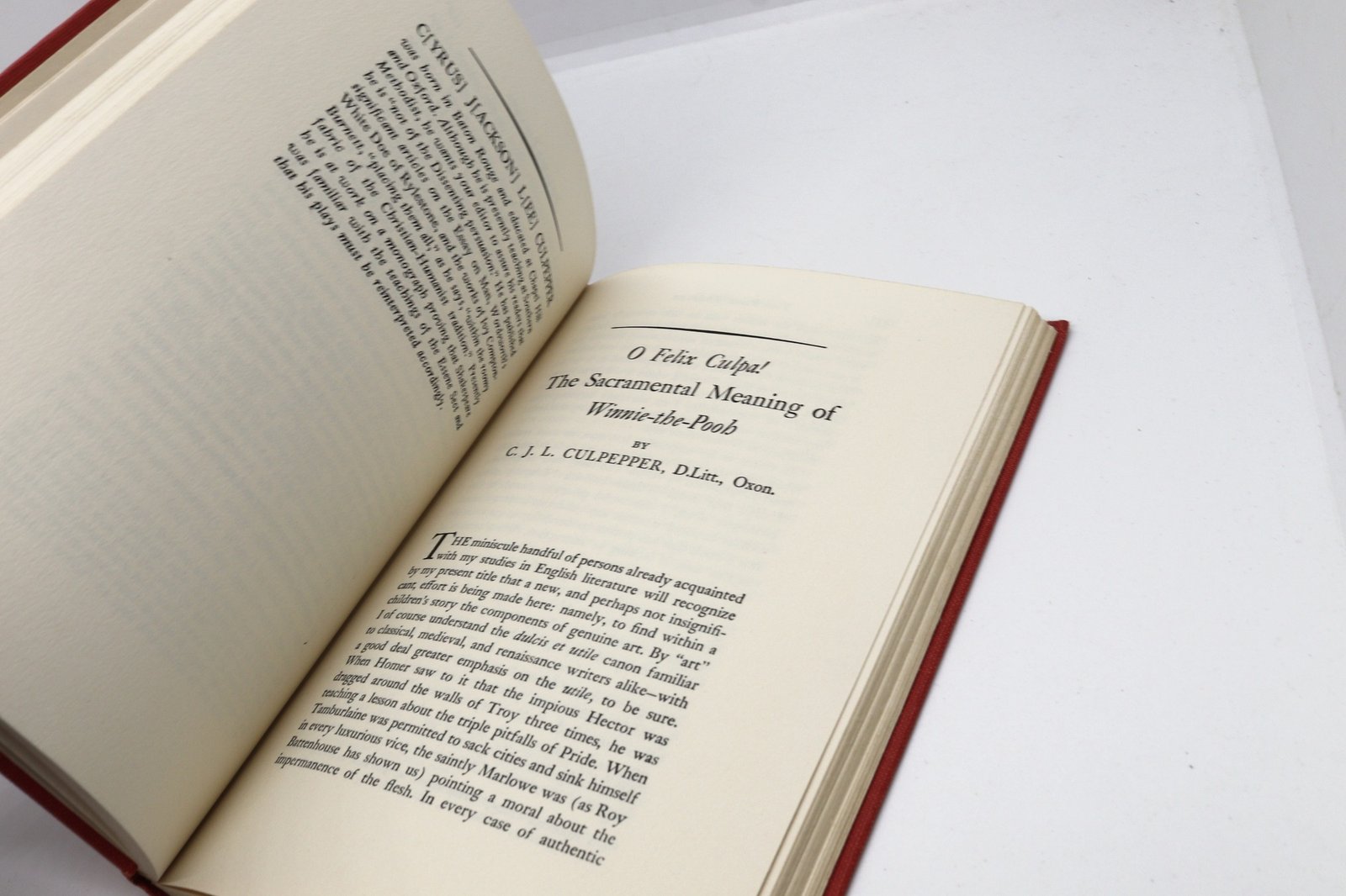 The Pooh Perplex: A Freshman Casebook - Hudson Fine Books